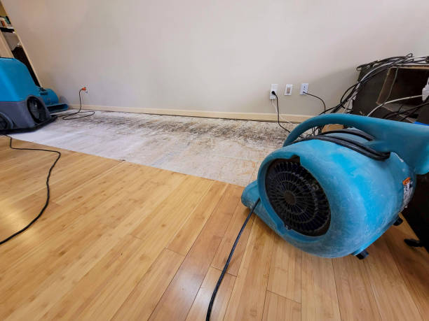 Professional Water Removal technician working in Yellow Springs, OH